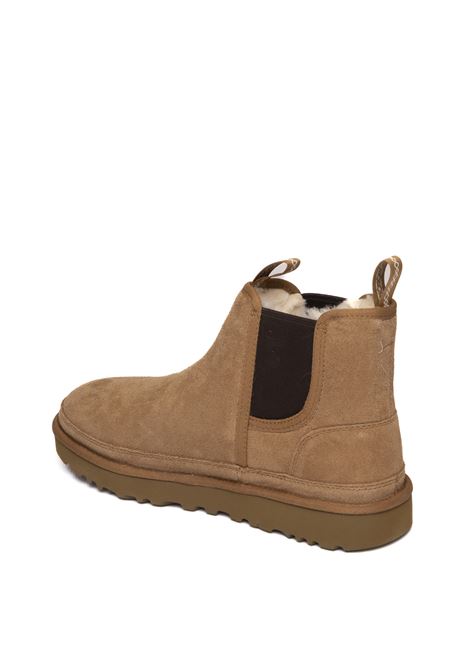 Chestnut neumel chelsea boot UGG | NEUMELCHELSEAMONT-CHE