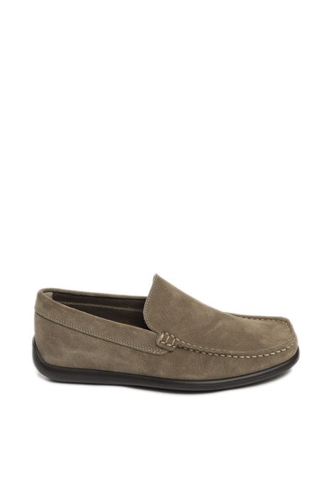 beige nubuck loafer FRAU | 14P4PIUMA-BISON